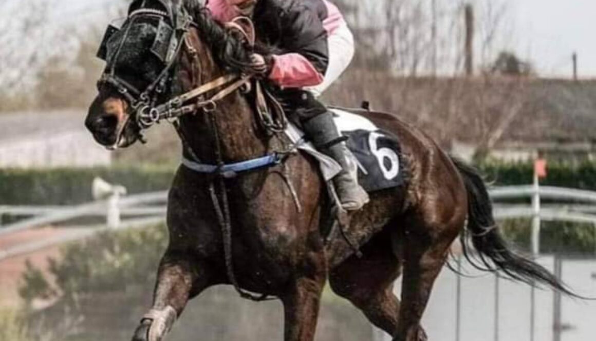 Pauline Beluze - entraîneur de chevaux de courses - Karefart - Lysette André